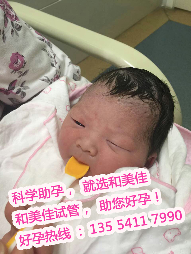 广州代妈