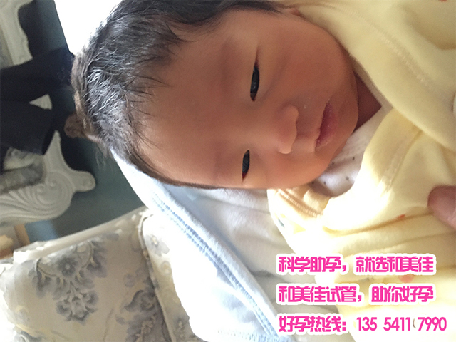 广州代妈
