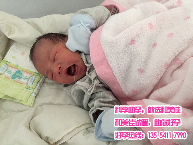 广州代妈