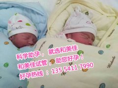 广东N先生喜获双胞胎男宝